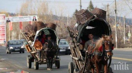 унгарските цигани участваха рома прайд