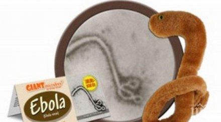 сащ продават плюшени играчки формата ебола