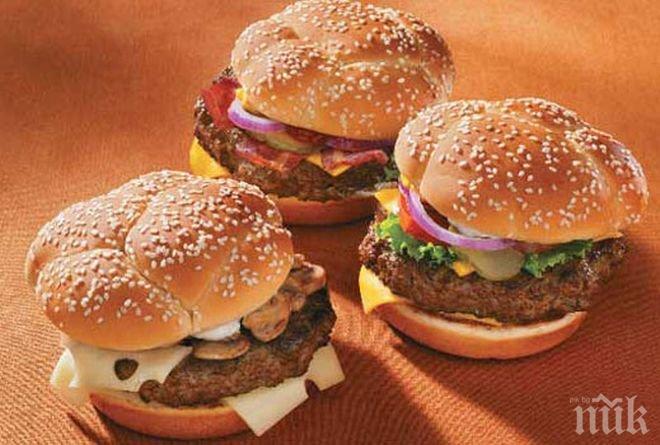 Учени: Сандвичите и чипсът са по-вредни за мъжкия мозък, отколкото за женския