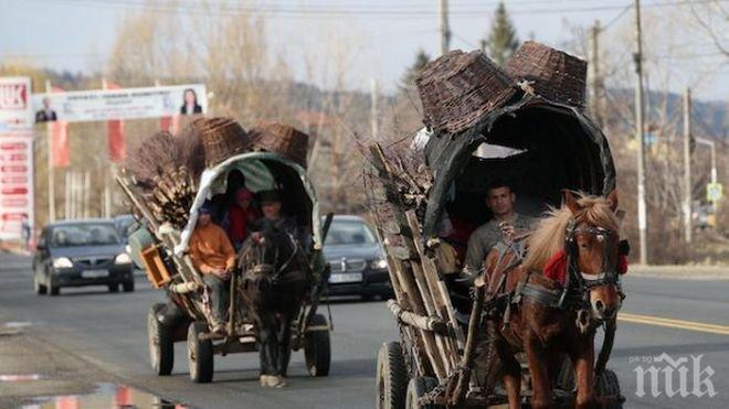 Унгарските цигани участваха в рома прайд