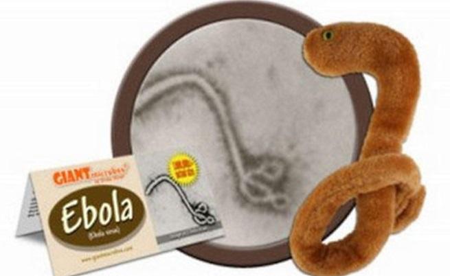 В САЩ продават плюшени играчки с формата на ебола