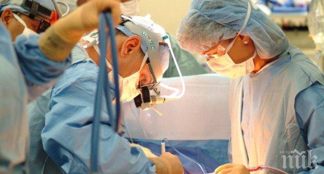 Уникално! Препарат от рядко срещано растение  унищожава злокачествени тумори