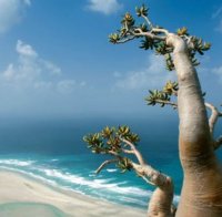 Най-извънземното място на планетата (снимки)