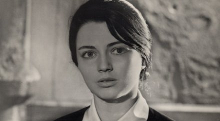 разпродават имотите невена коканова