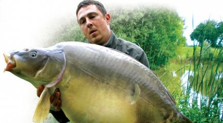 шаранът гордостта рибарите