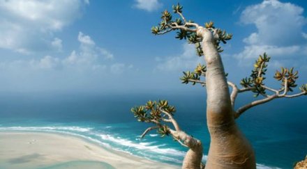 извънземното планетата снимки