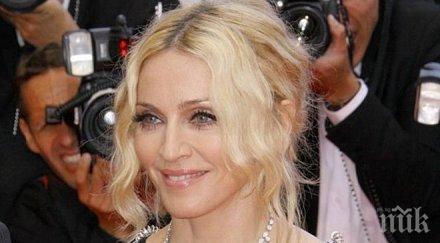 продават търг 200 вещи мадона