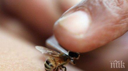 психоза пчелар изтърва случайно кутии пчели убийци асансьора вижте случи хората видео