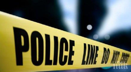 извънредно стреляха аудито пловдивчанка обновена