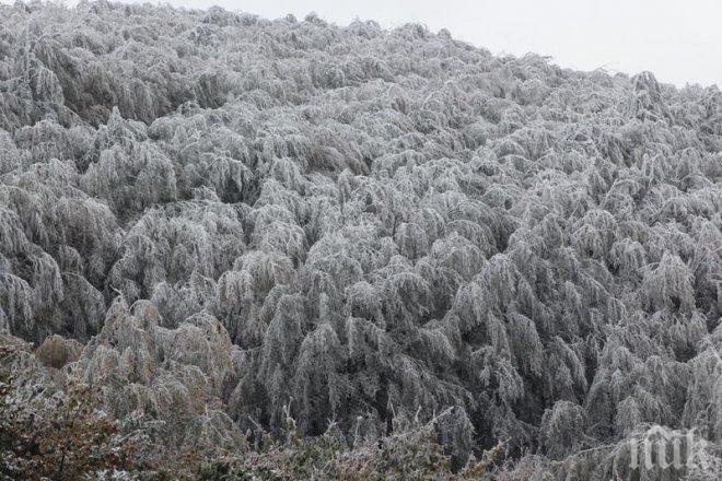 Бяла приказка в Босна и Херцеговина,първи сняг падна в Сараево и Баня Лука
