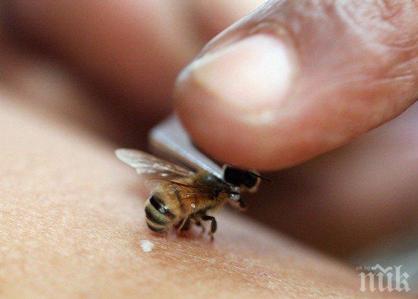 Психоза! Пчелар изтърва случайно кутии с пчели убийци в асансьора, вижте какво се случи с хората (видео)