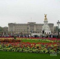 Арестуваха бодигард на британското кралско семейство