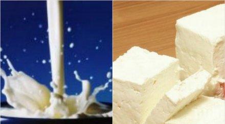 фотоателиета видеотеки стават млекарници