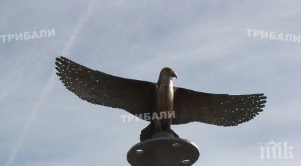 месингови соколи пазят монтана