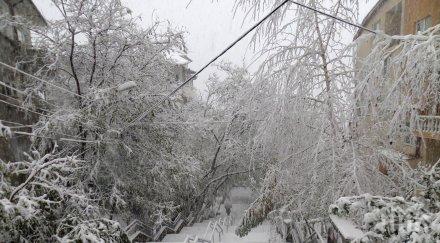 обстановката родопите нормализира