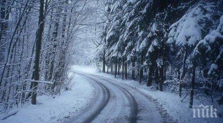 сняг затрупа летовище пещера