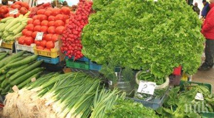 сащ умни фермерски роботи отглеждат марули