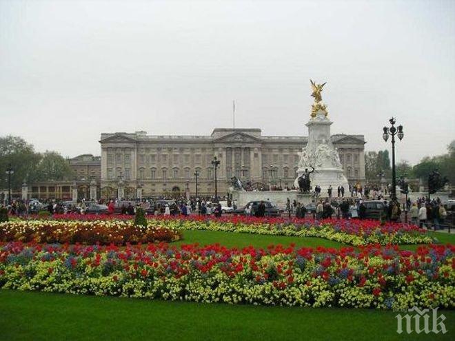 Арестуваха бодигард на британското кралско семейство