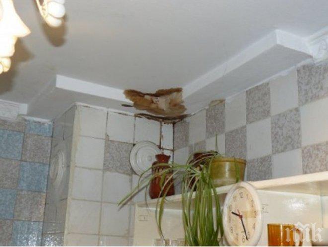 Кошмар в Пловдив! Отходните води бликат от стените на жилищен блок (снимки)