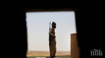 кюрдите върнаха кобане