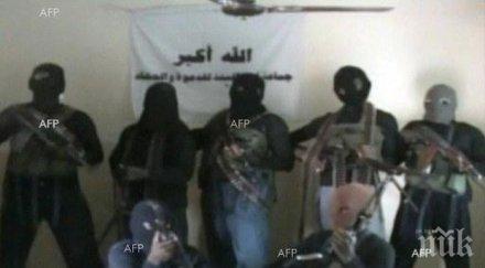 бойци боко харам загинали сблъсъци камерунската армия