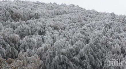 положението община баните все бедствено