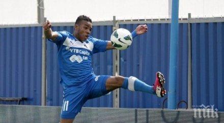 псв мачка наред холандия