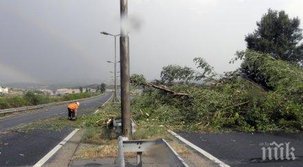 четири екипа разчистват паднали клони районите витоша панчарево