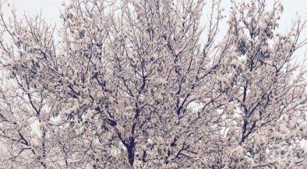 100 населени места все без ток