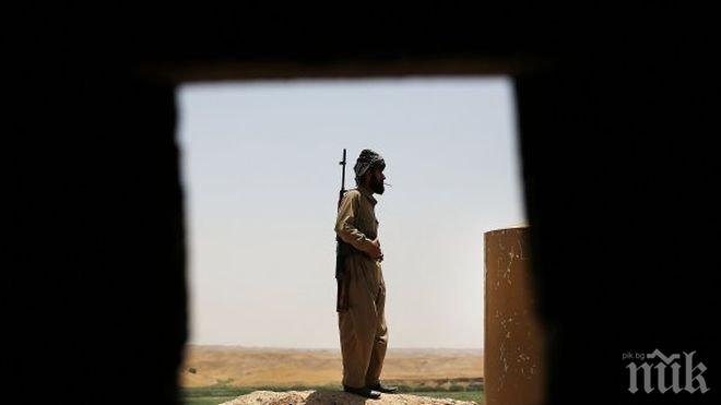 Кюрдите си върнаха Кобане