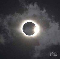 Само в ПИК и 