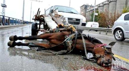 кошмар джип вряза каруца конят загина