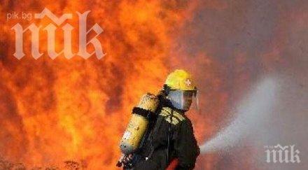 голям пожар бушува село филиповци две общини овладеят огъня