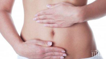 пробив отгледаха човешки стомаси лаборатория