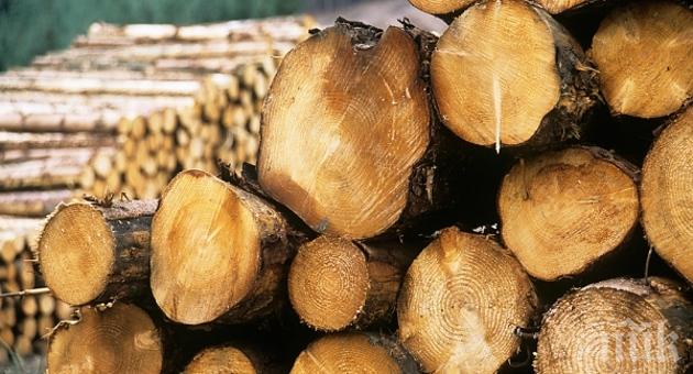 Откриха 15 кубика немаркирани дърва за огрев в ямболското село 