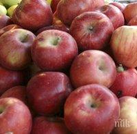 Над 402 000 деца ще получат пресни плодове и зеленчуци в училище 