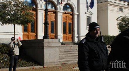 депутат разхожда парламента чорапи армани снимка