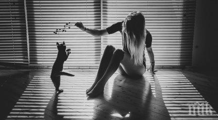 чорапите подобряват секса