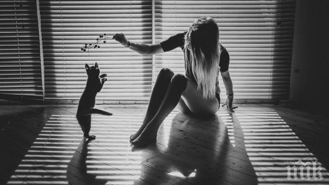 Чорапите подобряват секса