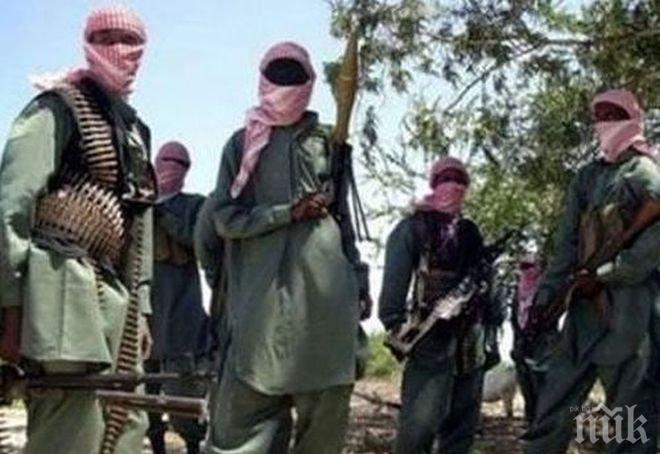 „Боко Харам” опроверга информацията за примирие с властите в Нигерия

