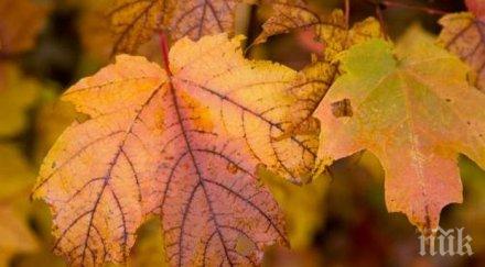 ноемврийска пролет радва температурите продължават повишават