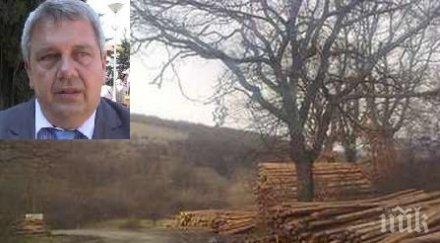 позор кметът сунгурларе остави хората студено изхарчи парите дърва изборите