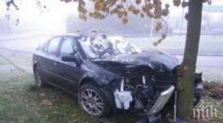 драма добрич годишна загина годишната шофьорка опасност живота годишна невредима