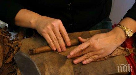 кубинка нави софия пура дълга близо метра снимка