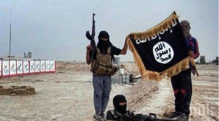 терористична групировка египет заклела вярност ислямска държава