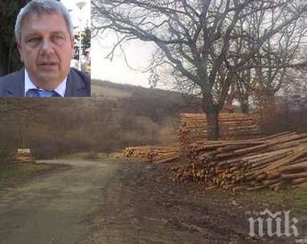 Позор! Кметът на Сунгурларе остави хората на студено, изхарчи парите за дърва по изборите