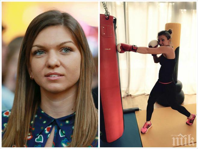 За ужас на Кубрат Пулев! Симона Халеп навлиза в професионалния бокс