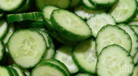 три зеленчука хидратират идеално тялото