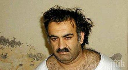 мозъкът появи турска реклама депилация