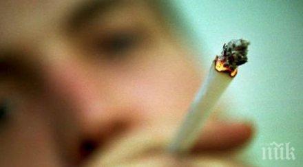 вашингтон одобри легализирането марихуаната референдум